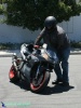 CBR954RR - Suicide Burnout